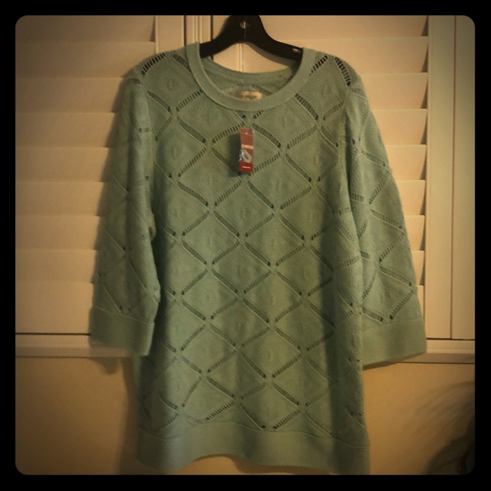 Ladies Sea Foam Sweater from Avenue